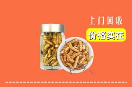 收购资讯:扎囊县回收散虫草