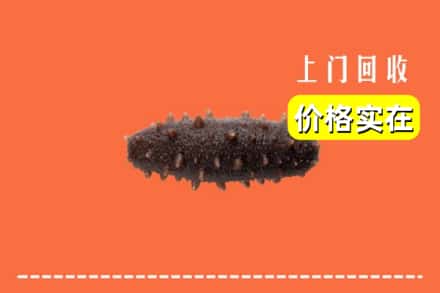 收购资讯:扎囊县回收海参