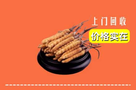 扎囊县回收冬虫夏草