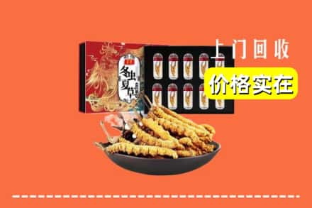扎囊县回收虫草